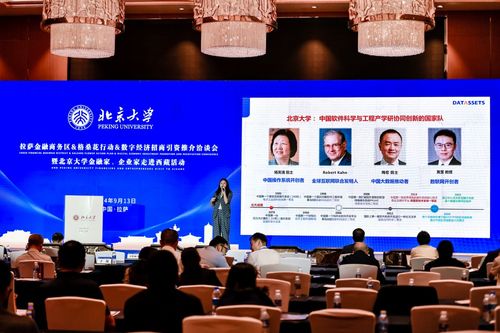 數(shù)字經(jīng)濟新引擎 2024拉薩金融商務區(qū)格桑花行動招商引資洽談會啟航